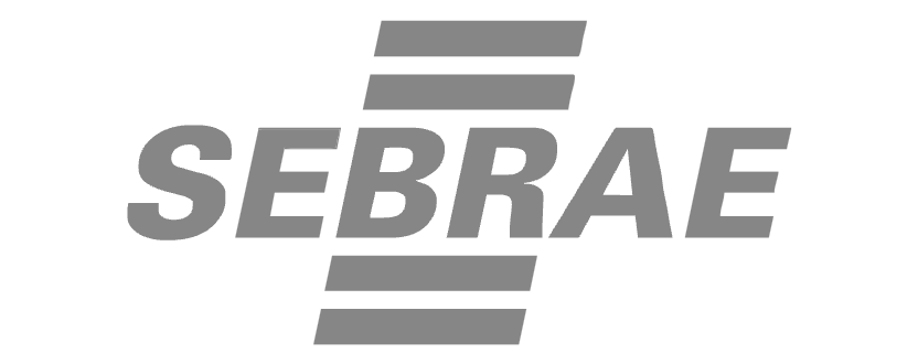 Sebrae - DNA Assessment