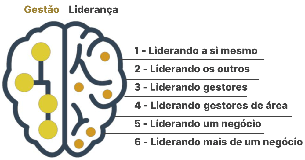Cérebro - DNA Assessment